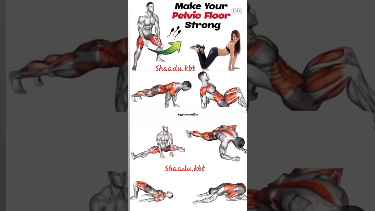 gym💪🌏 workout🫀  /Murder🚨#shorts#viral#bodybuilding#gym#funny#india#new#fitness