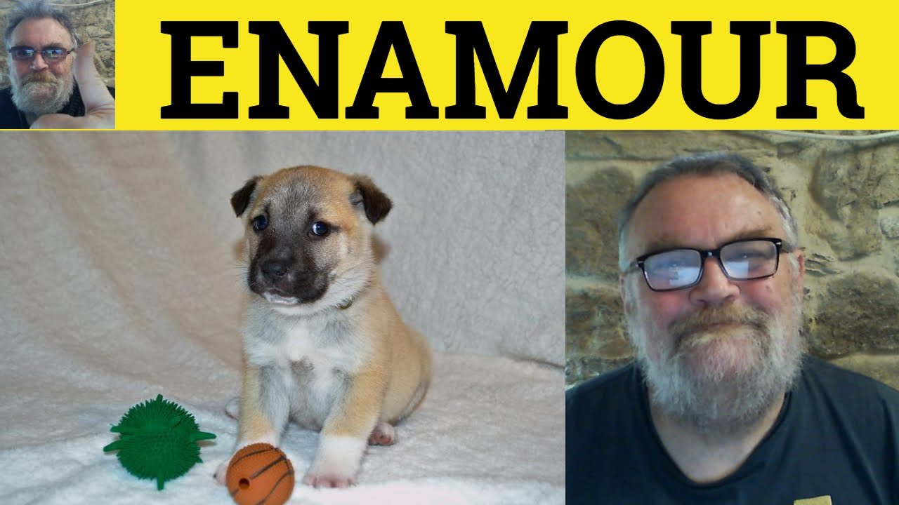 🔵 Enamor Meaning - Enamour Definition - Disenamored Definition - Vivid Verbs - Enamour