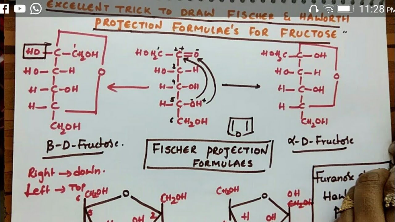 Fischer & Haworth projection formulas for Fructose( Biomolecules class 12 chemistry)
