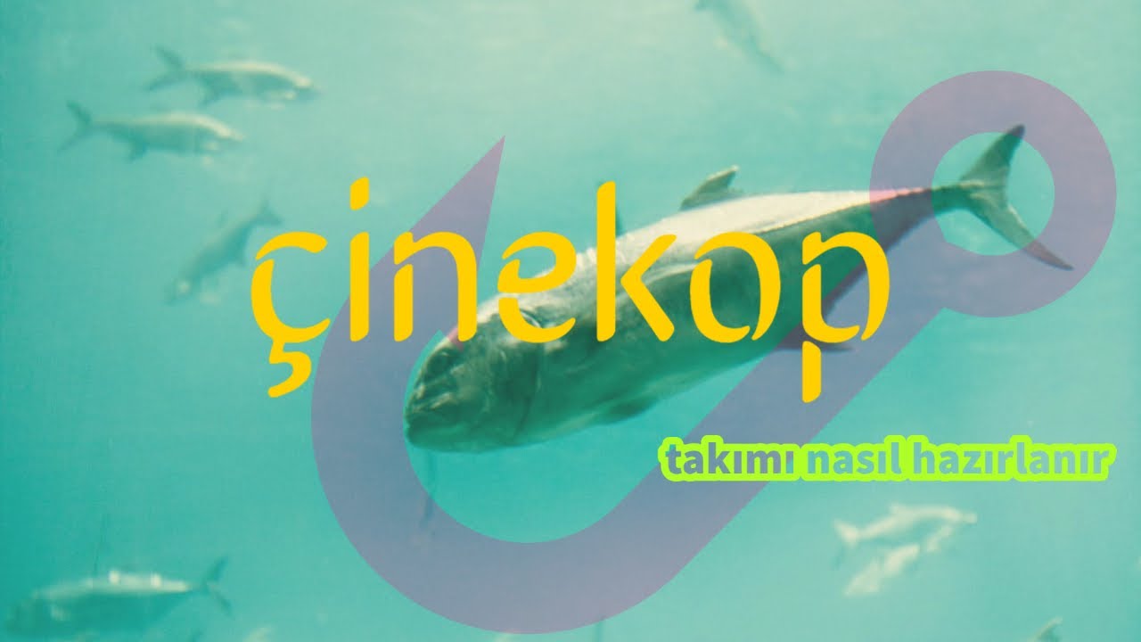 Hırsızlı Yemli Çinekop Takımı Yapımı | En Garanti Avcı Takım 🎣
