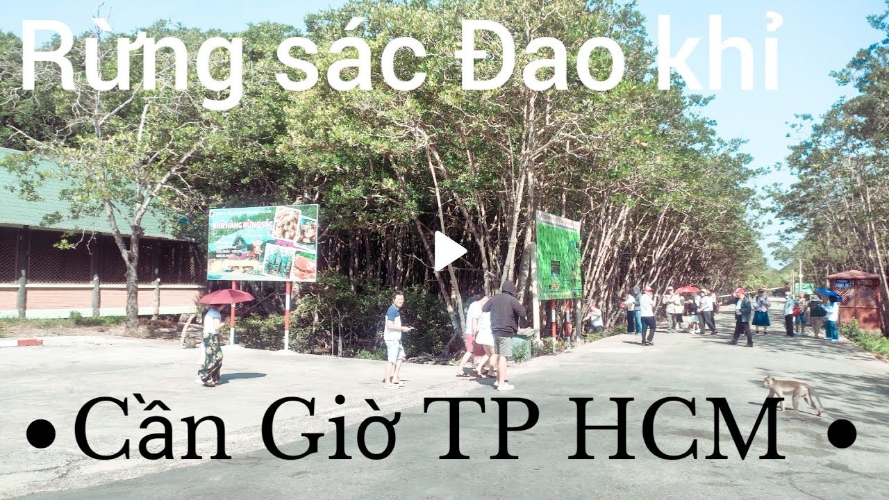 Du lịch Rừng sác Đảo khỉ Cần Giờ TP HCM khu du lịch sinh thái hót nhất 2026