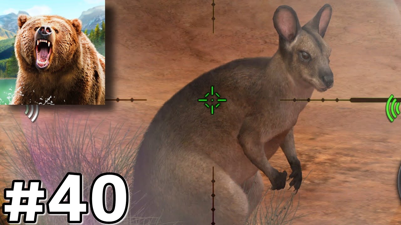 Hunting New Parma Wallaby - Hunting Clash Gameplay Ep40