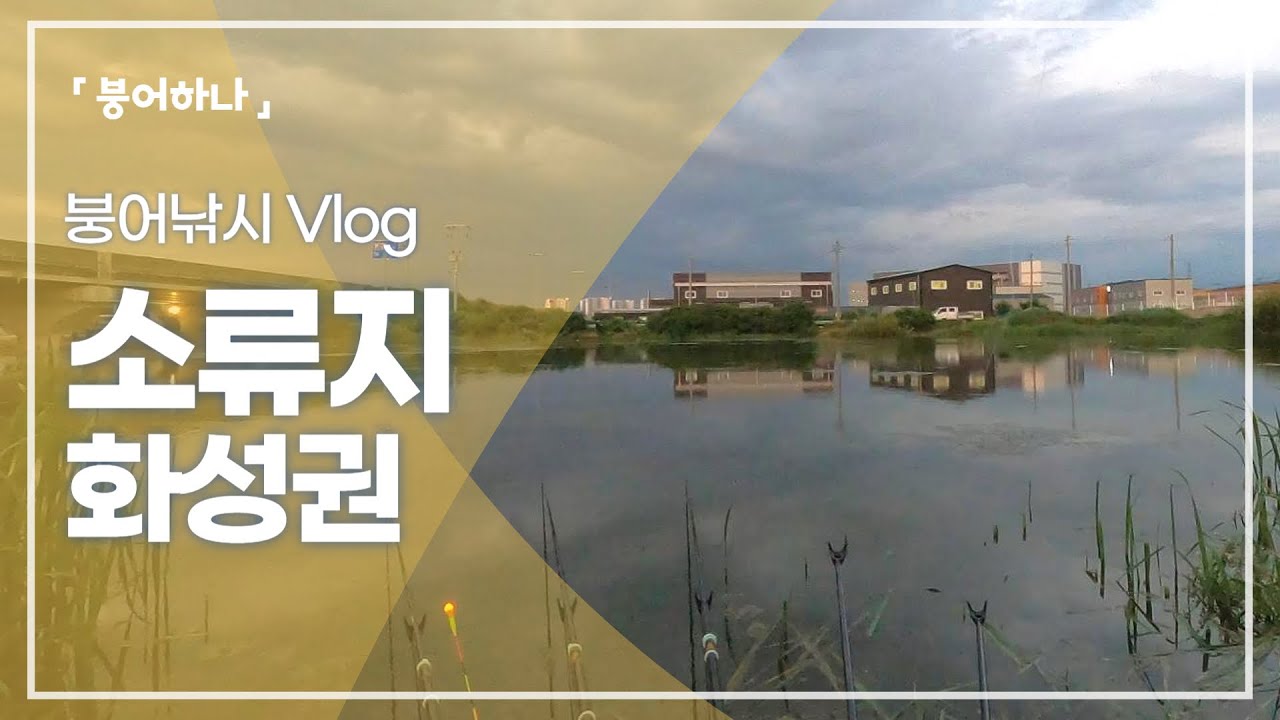 갈수기 붕어낚시 포인트를 찾아 홍원리 수로 답사 후 집 근처 소류지에서 대를 펴보았습니다!
