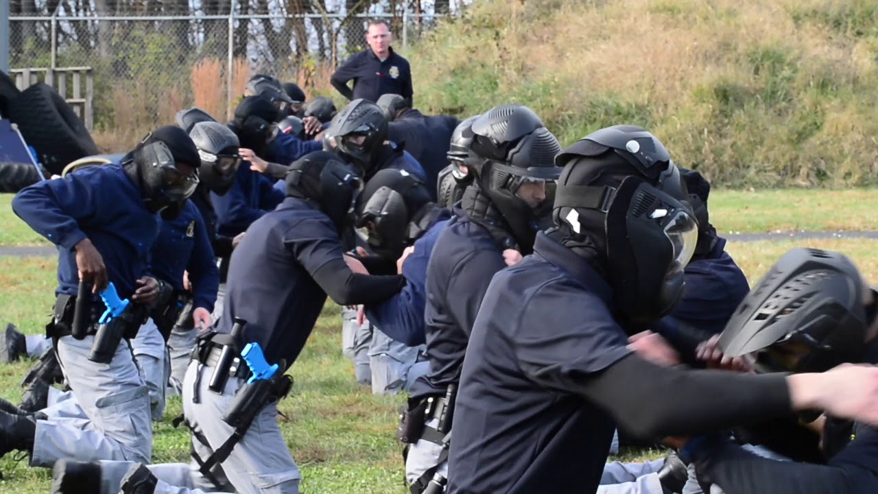 Earning the Badge:   K-9 and Combat