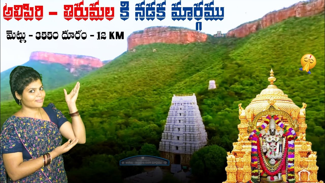 అలిపిరి మెట్ల నుండి తిరుమల నడక ప్రయాణం..| 2025 | 12 KM Walk | 3550 Steps to Lord Balaji🙏 | Tirumala