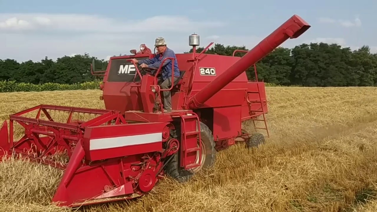Massey ferguson 240 уборка пшеницы