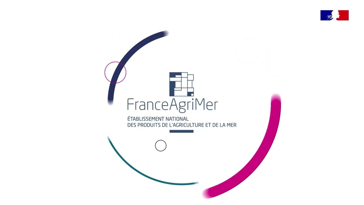 Webinaire sur les AAP CASDAR 2025 - Connaissances, co-innovation et démultiplication