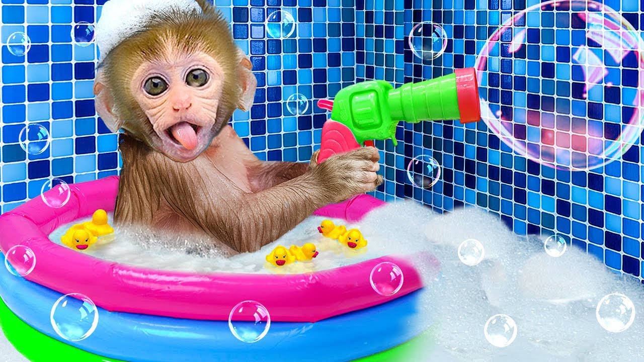 Scimmia Bon Bon si prende cura del pesciolino e va al parco acquatico con la simpatica paperella