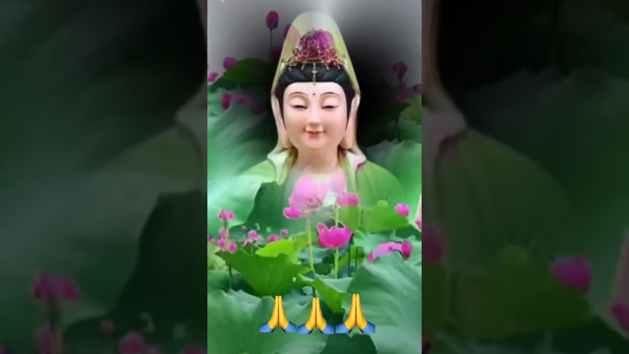 ❤️🙏🌹NAM MÔ QUÁN THẾ ÂM BỒ TÁT 🍀🪷💐