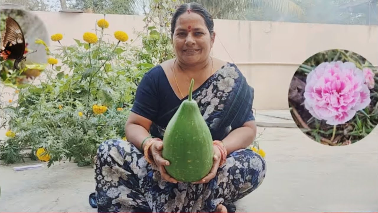 సొరకాయ రోటి పచ్చడి | sorakaya roti pachadi village cooking and gardening 