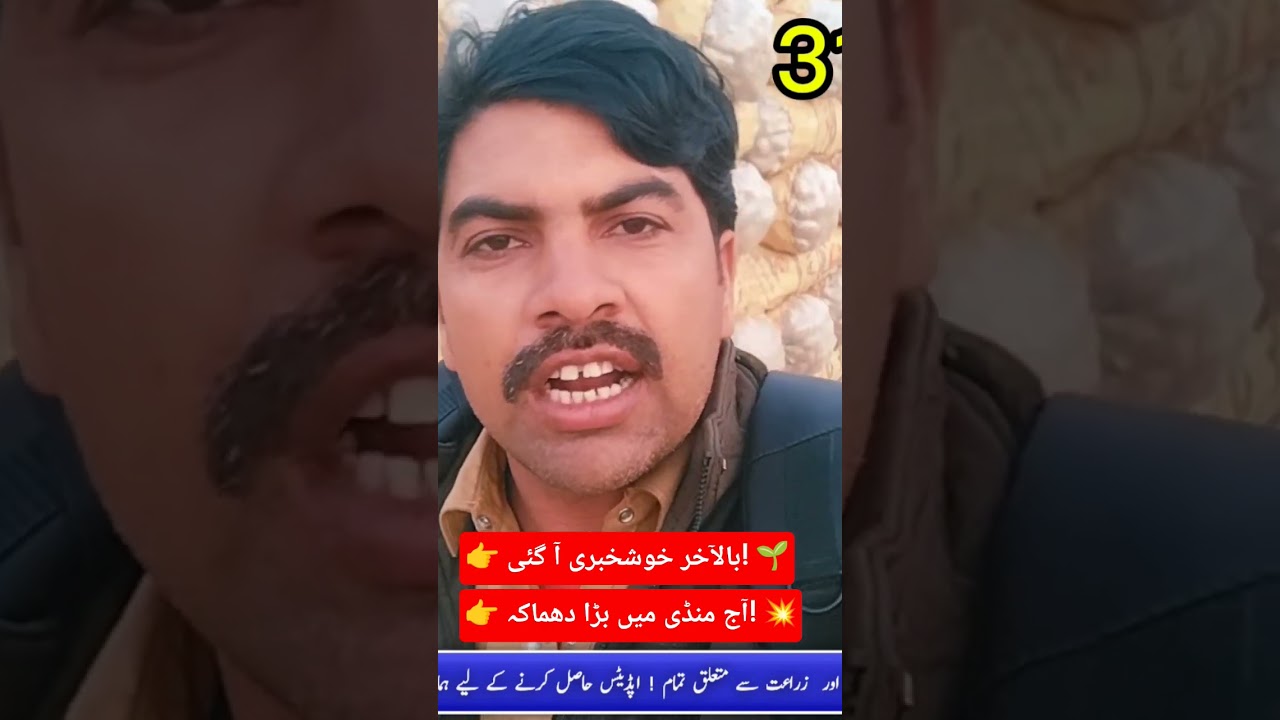 Good News for Farmers 🚜 | Potato Price Jumps to Rs 1150 in Pakpattan Sabzi Mandi Today