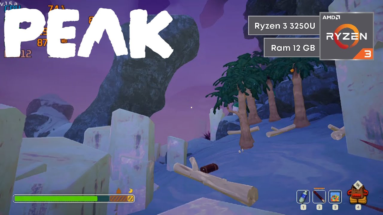 PEAK | Ryzen 3 3250U 12 GB RAM