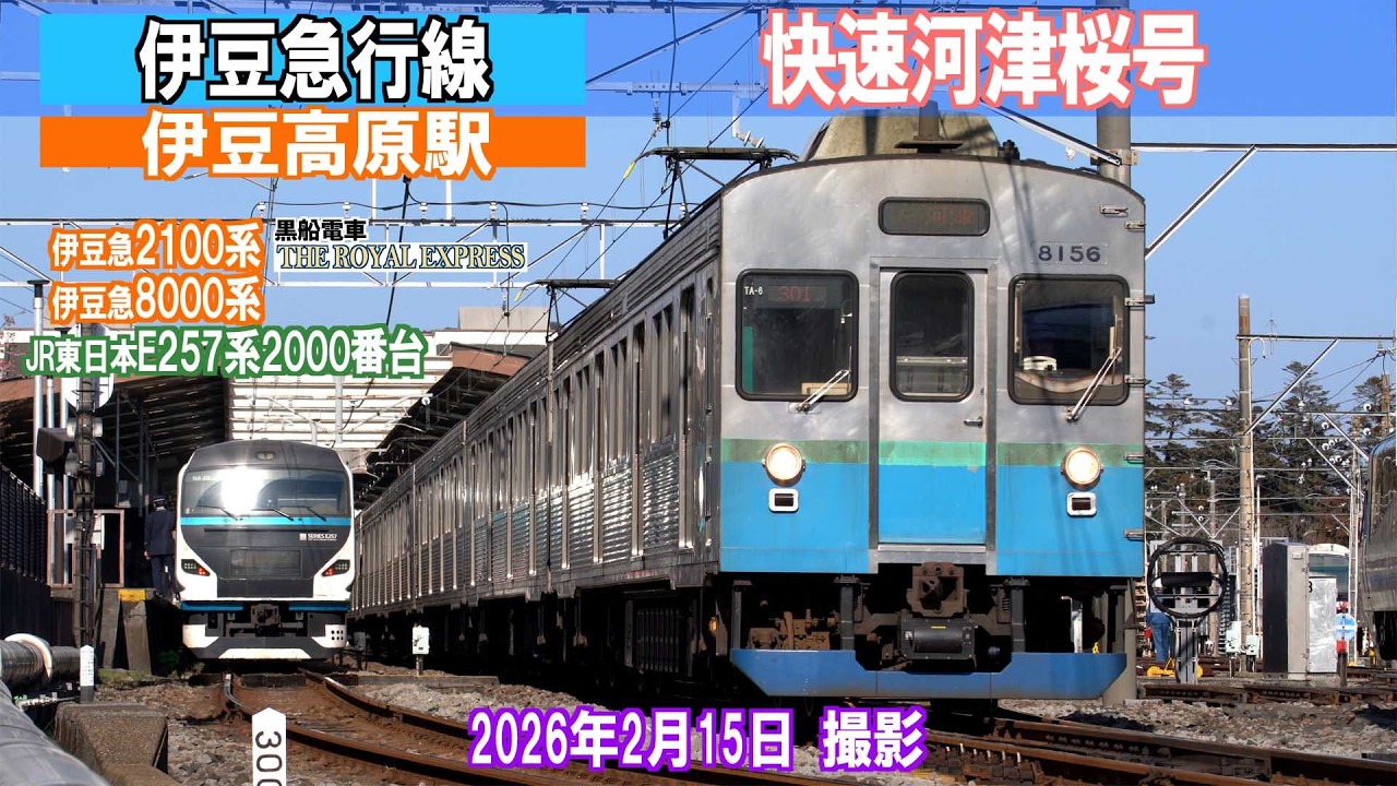 【伊豆急行線】伊豆高原「快速河津桜号」2026年2月15日