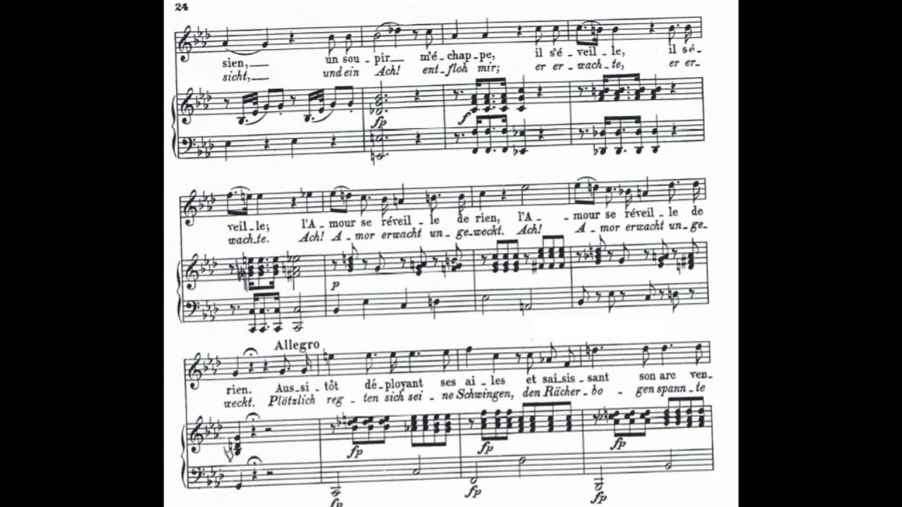 WOLFGANG AMADEUS MOZART 