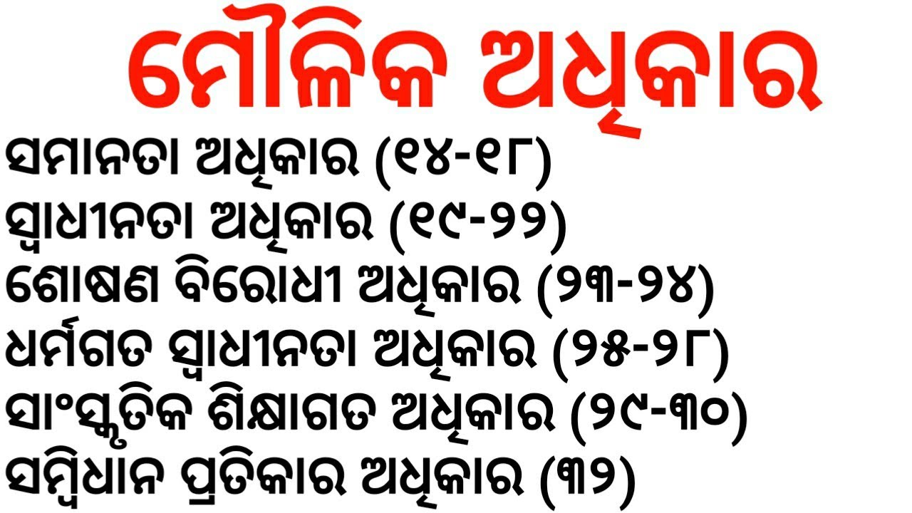 Fundamental Rights || Political Science For CT, B.Ed in Odia || Political Science in Odia