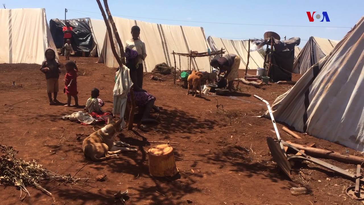 Deslocados de Vanduzi sem comida, mulheres e homens em tendas comuns