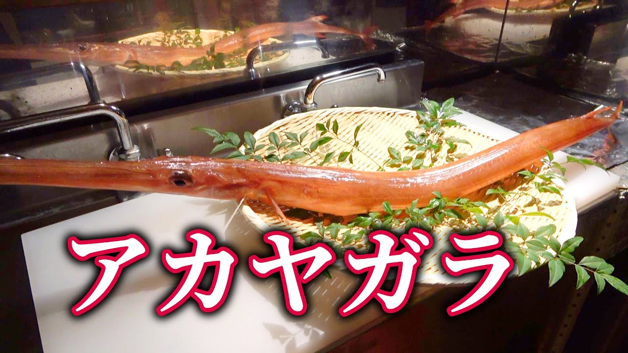 寿司職人によるアカヤガラの握り寿司と薄造りの作り方～How to making of Red cornet fish sushi～