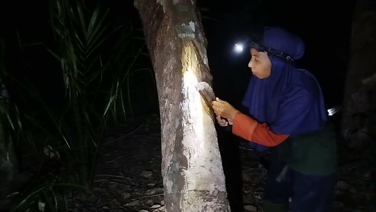 Episode 30. Pemburu cuan sebelum matahari terbit