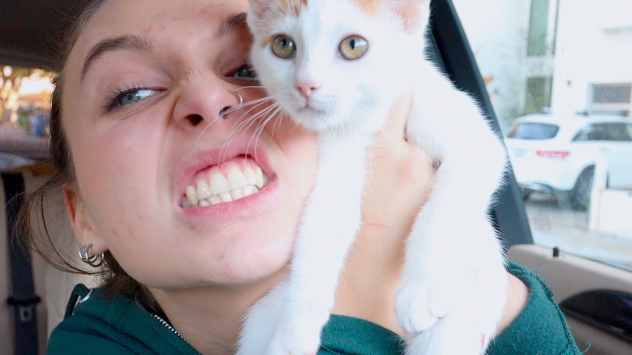 I GOT ANOTHER CAT