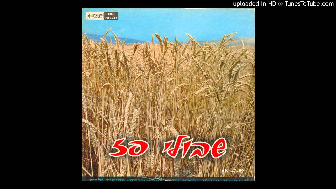 שוב יוצא הזמר - הגבעטרון