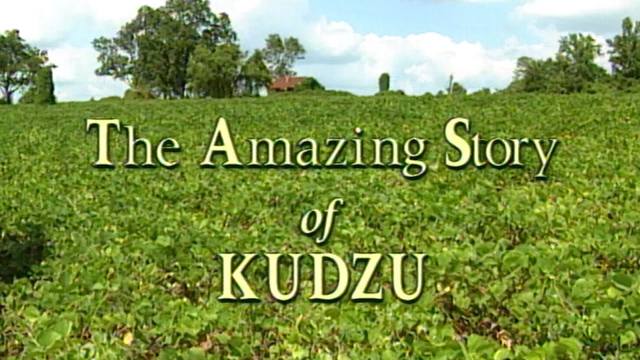 The Amazing Story of Kudzu - 1996 Documentary