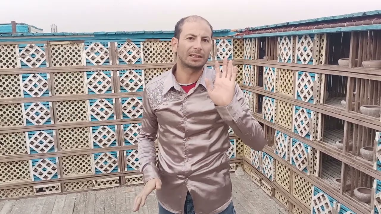 غيه الشيخ مكي مع محمد يوسف بولاق ابو العلا وحمام النش