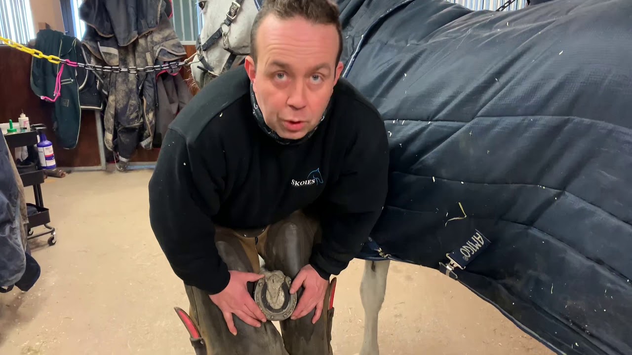 Dagens stalltips fra hovslager Øystein Myhre