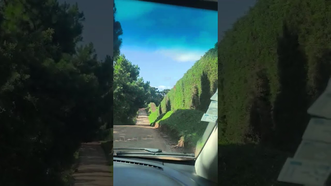 Hoje conhecemos a barragem da Sanepar 