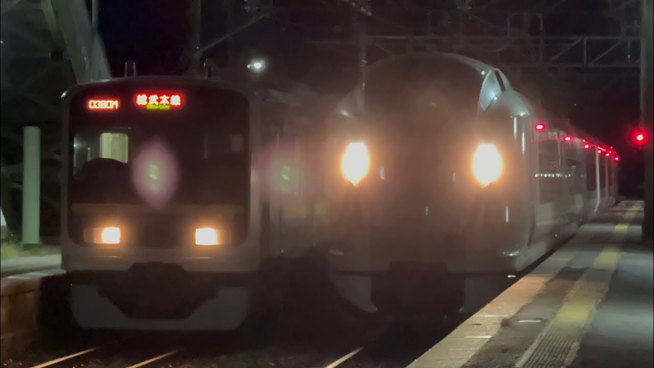 （4014M）【※トップナン編成】（#特急しおさい14号東京行）＆（380M）【※2100番台6両編成のトップナン編成】（総武本線千葉行）飯岡駅1、2番線各ホーム発着#鉄道 #ジョイント音 #総武本線