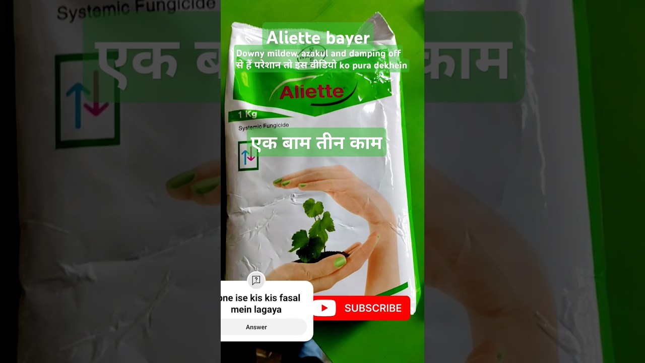 Bayer Aliette || Aliette Bayer fungicide