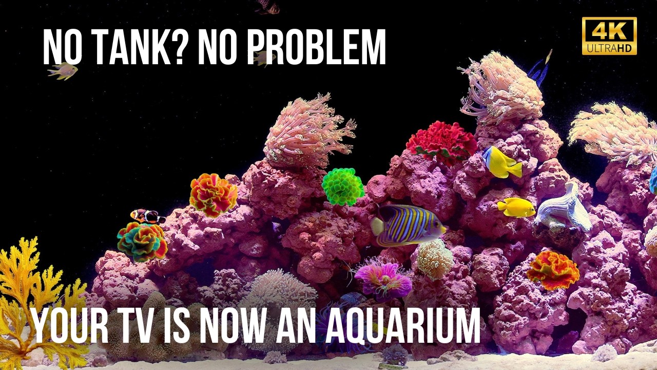 🐬 Спокойный Рыбный Аквариум | Без Слов, Только Пузырьки и Красивое Движение