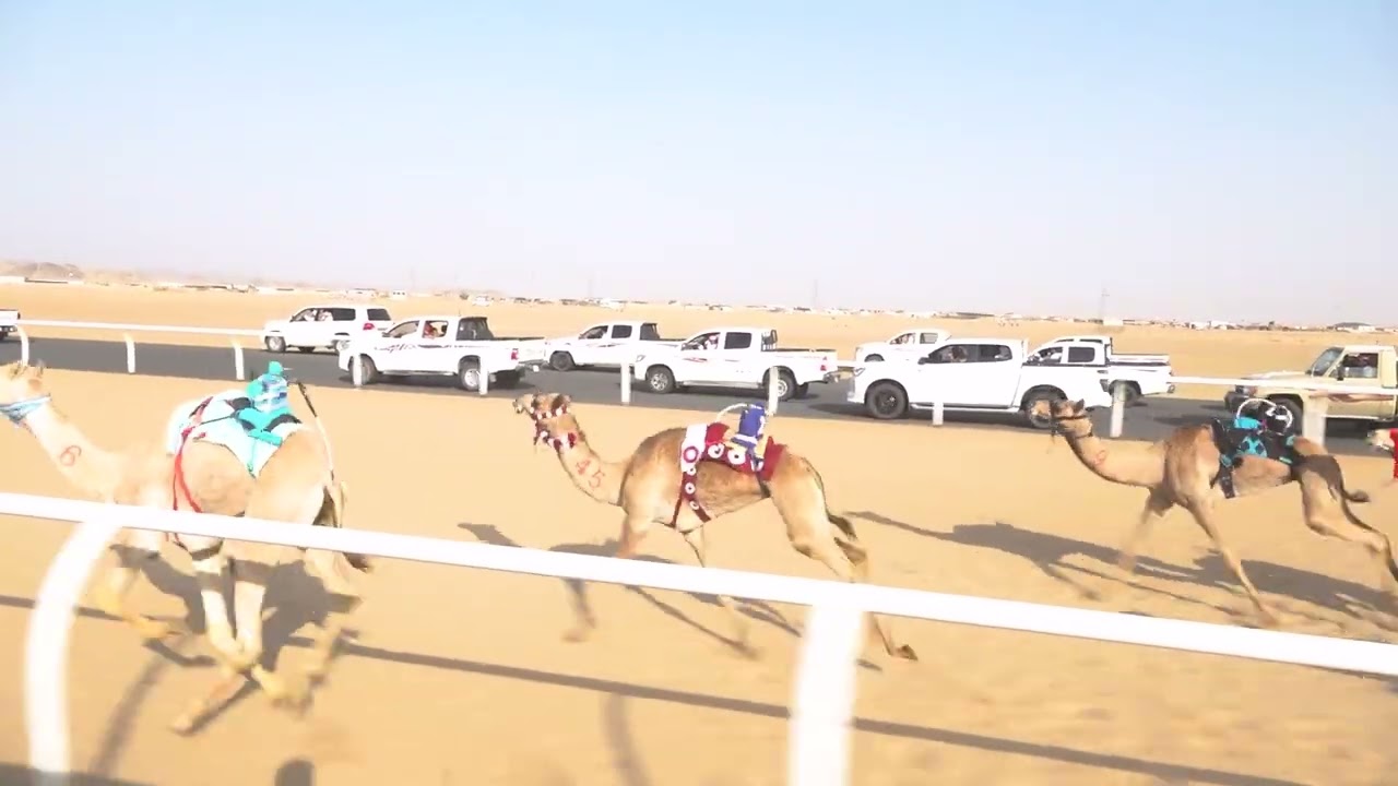 ٩/ حقايق بكار/ ٣٠٠٠م/ فن / ناصر صالح الكربي 