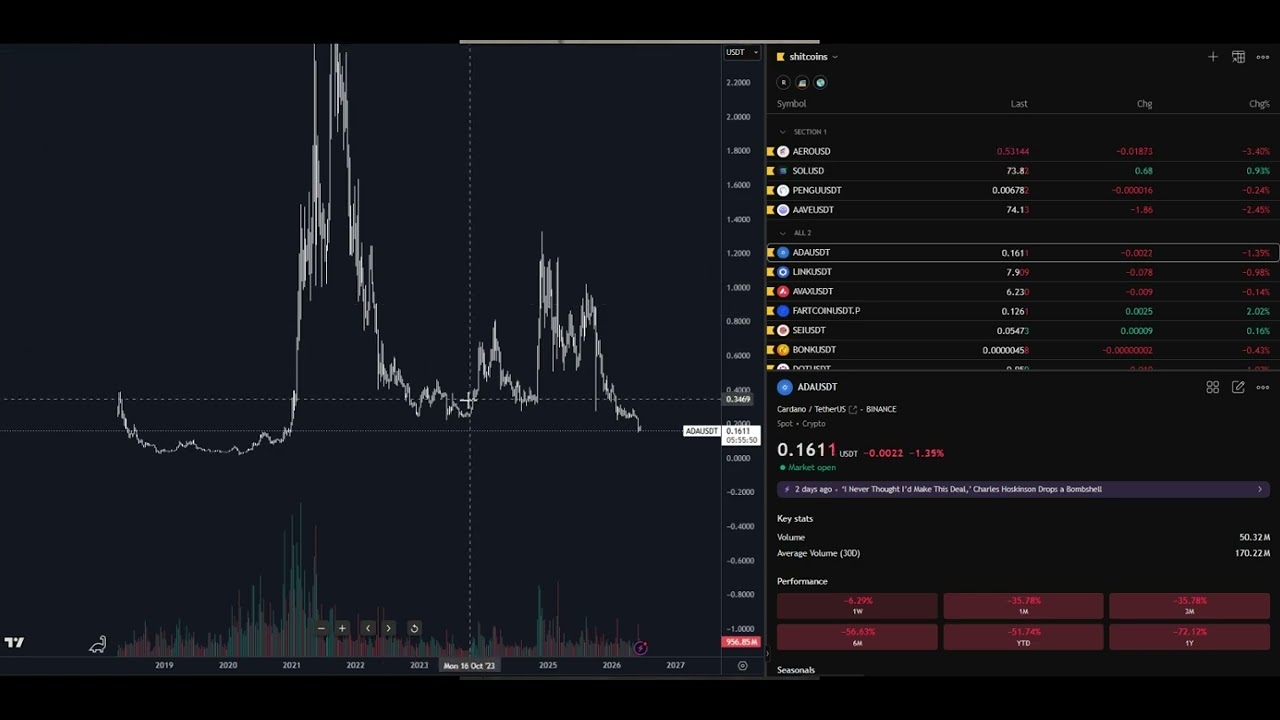 Altcoins are a scam