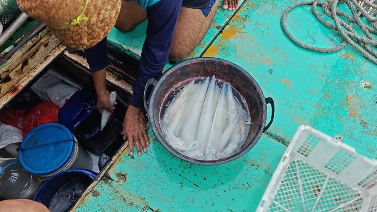 ORA UYAH ORA ASEM!! Bulan Semakin Terang, Ikan Semakin Jarang - Vlog Nelayan Story