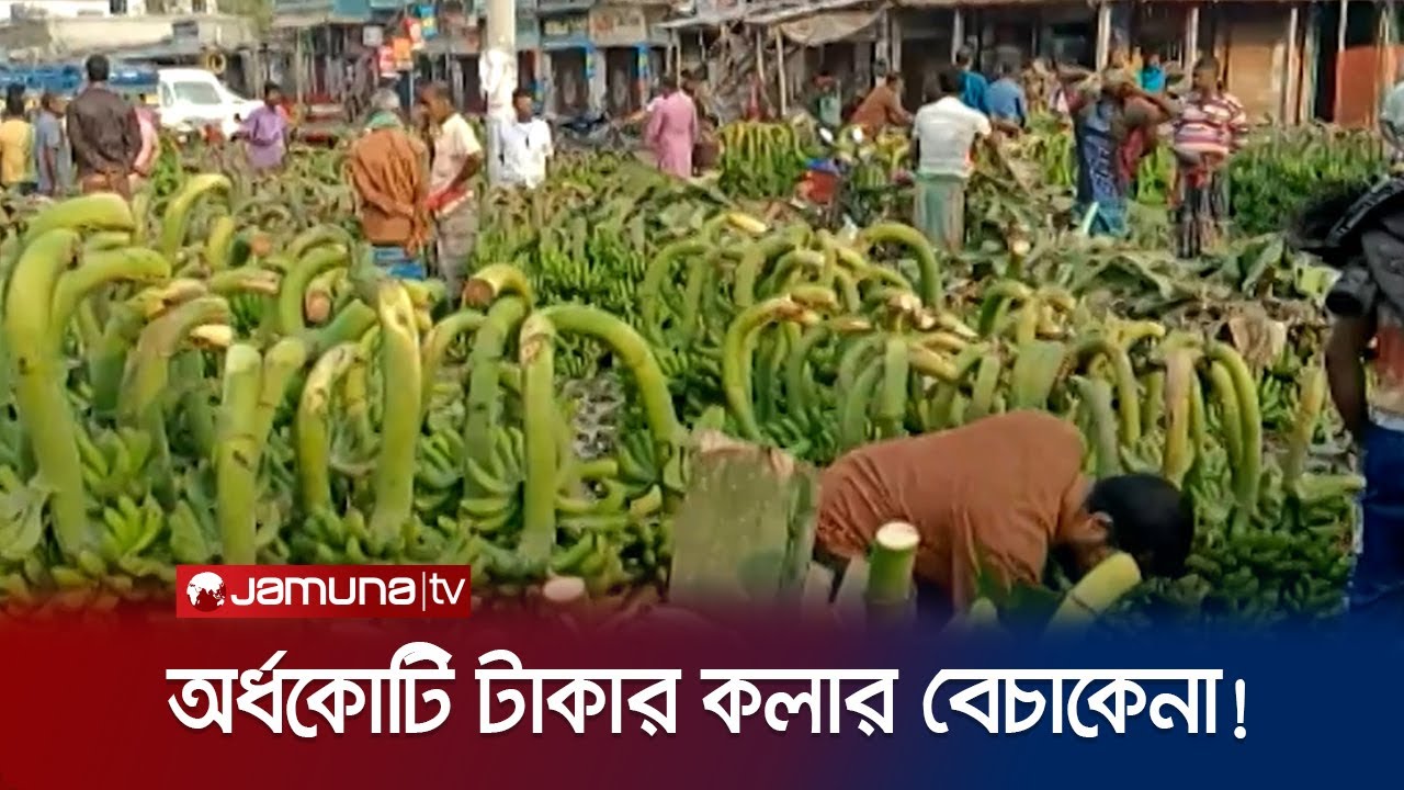 এক ভিন্নধর্মী বাজার, কলার বাজার | Chuadanga | Bazar | Jamuna TV