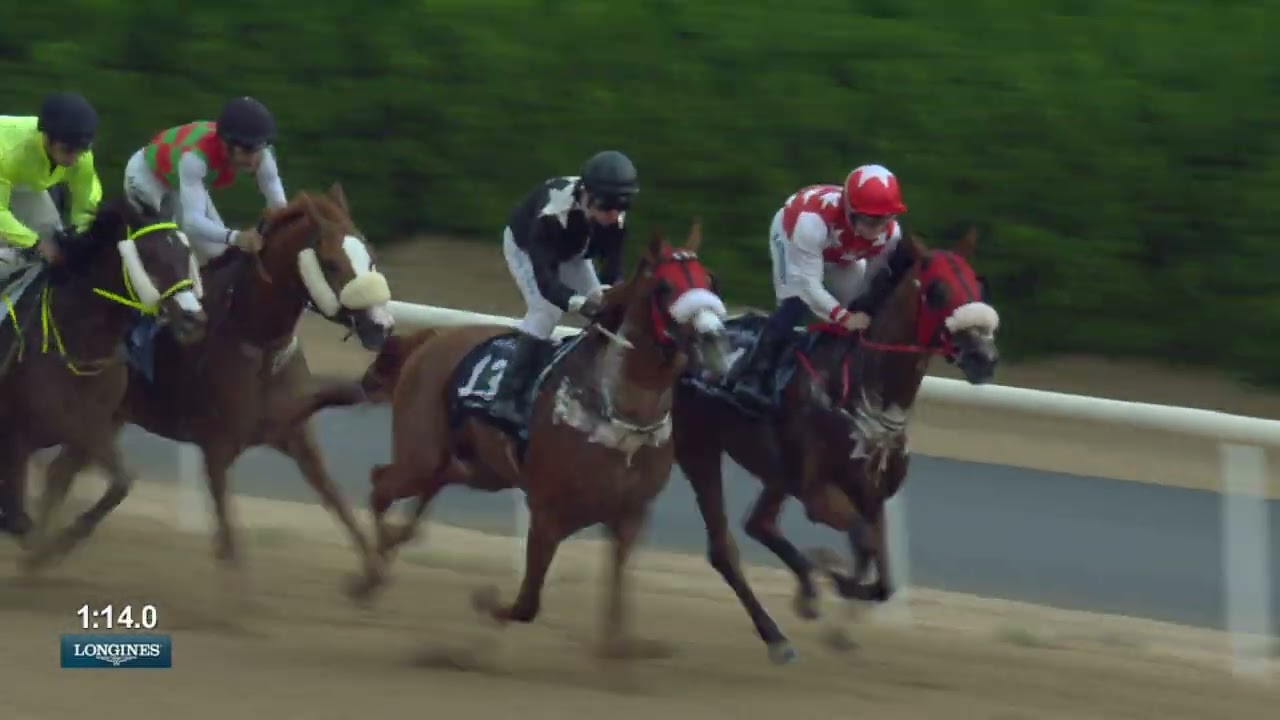 Sharjah 250126 Race 6