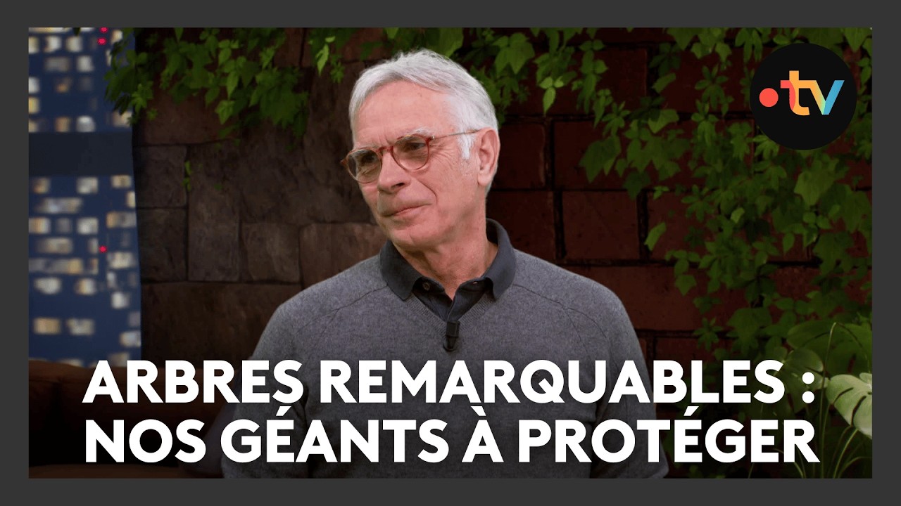 7 minutes avec Joël Gilbert, président de l'association Arbres remarquables de l'Aube