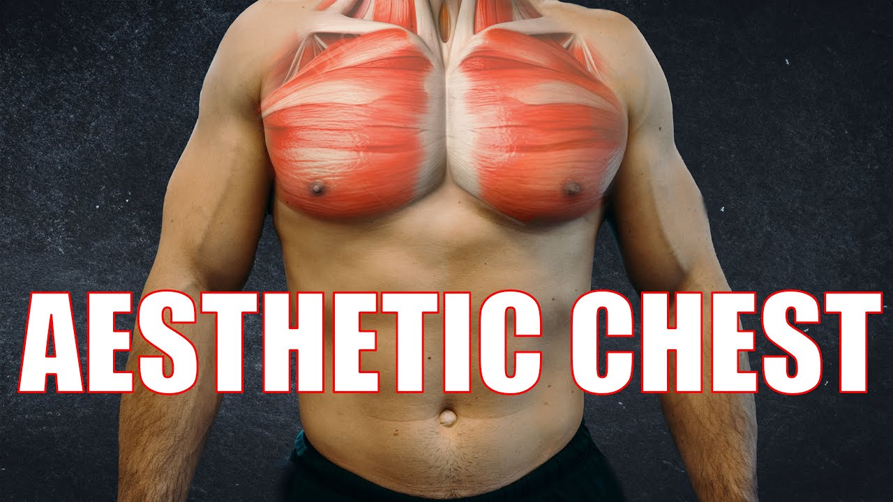 Best Exercises And Techniques For A Bigger Chest