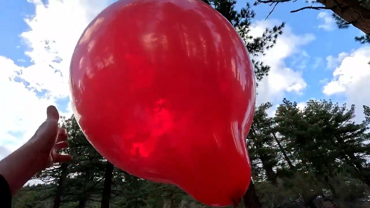 Red 18 Inch Balloons Inflating and Flying Away, NonPop, 4K, Forest Balloon Non-Pop 30