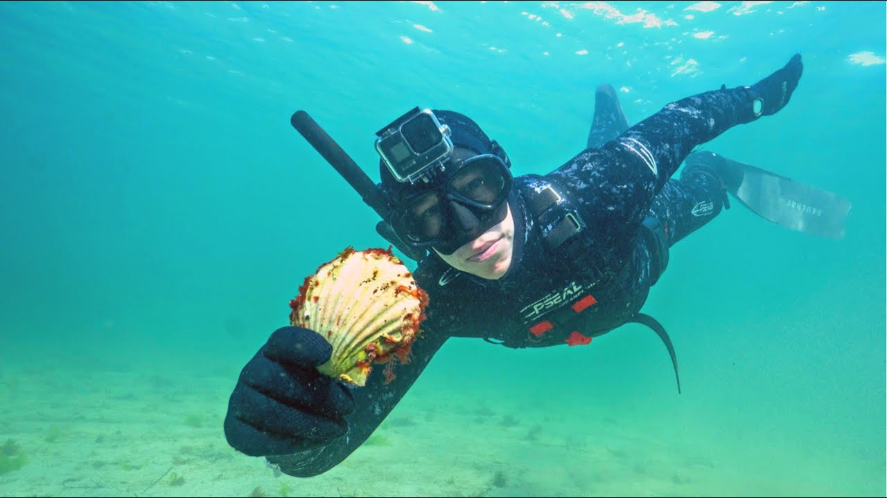 Scallop Diving in Scotland - Amazing Garlic Scallops catch and cook on the Firepit
