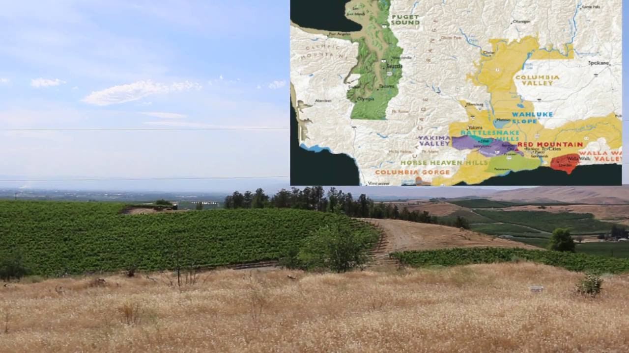 A Look at the Washington Cabernet and Mourvedre Vineyard