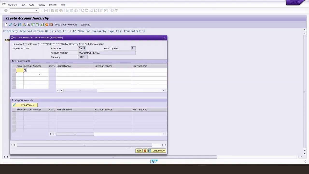 SAP In-House Cash Concentration (IHC)