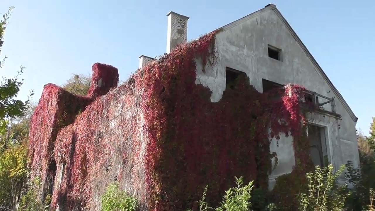 dabrowka ruiny dworu 1862r.