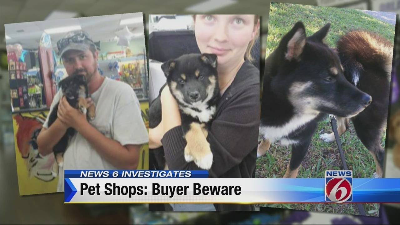 Family: Pet shop sold us sick dog