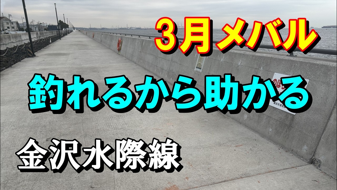 アオイソメ vs オキアミ　金沢水際線緑地　メバル　横浜福浦