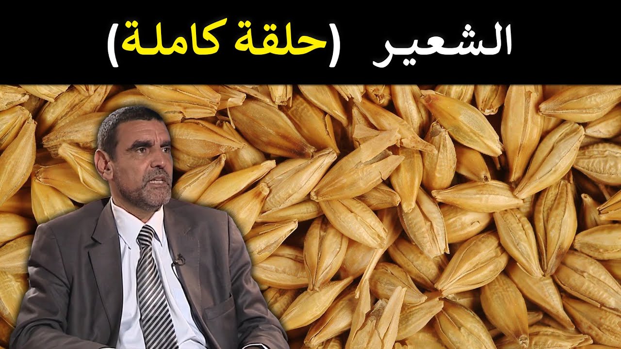 🔹 الشعير: تغذية الإنسان بامتيازوفوائده للجهاز الهضمي! 🌾 د. محمد الفايد 🌴 #برنامج_نخل_ورمان