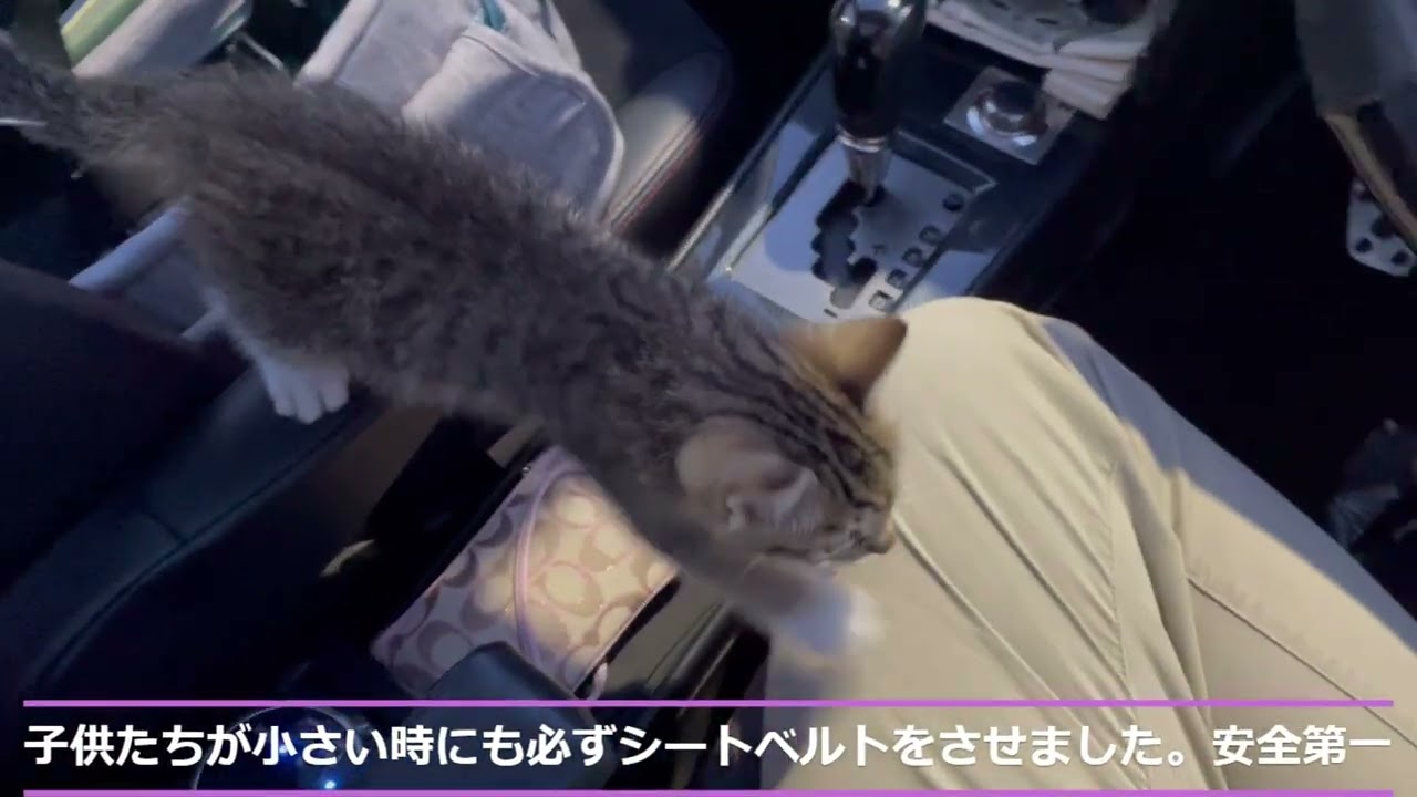 ロキくんの部屋 202309 Vol 11