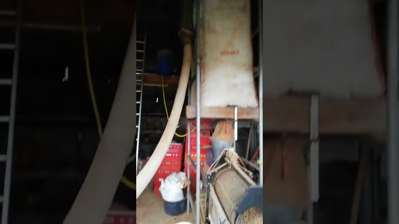 Het Pelletfabriekje in actie: zelf pellets maken van gehakseld knotwilgenhout.