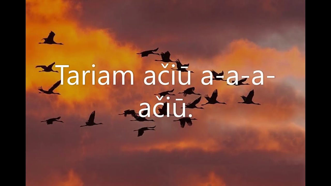 Tariam ačiū (Hallelujah) muz.Leonard Cohen, ž.Jovitos Murauskaitės