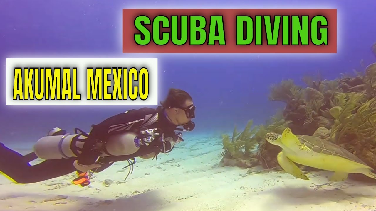 Scuba Diving Mexico, Riviera Maya. Best Scuba Diving near Playa del Carmen